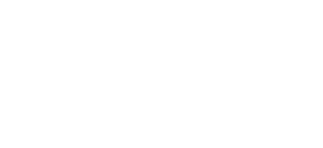 FORM ZURICH